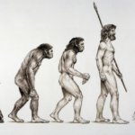 Evolutionstheorie Darwin